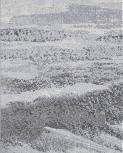 Illusions 6221 Blue/Grey Mist Area Rug
