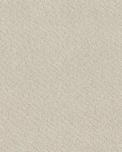 In Style Patterned 34oz Carpet