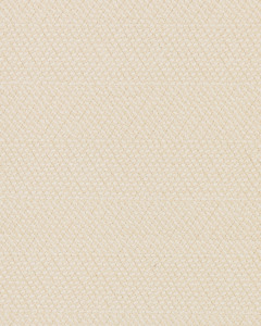 Motley Patterned Kashmere 46oz Carpet