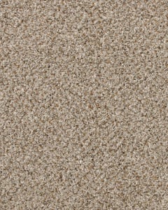 Revived Classic Textured 60oz SmartStrand Carpet
