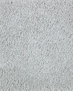 Lavish Touch Textured SmartStrand Carpet