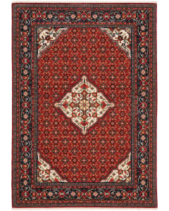 Lilihan 1c Red/Blue Area Rug
