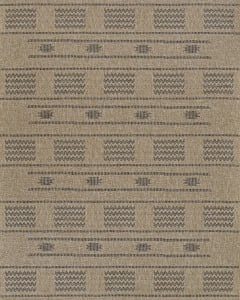 Naturalistic Sonoran Natural/Charcoal Area Rug