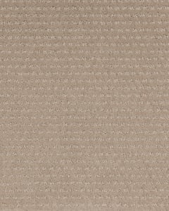 Luxurious Moment Patterned SmartStrand Carpet