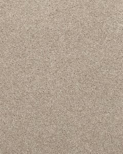 Willow Creek Textured SmartStrand 40oz Carpet