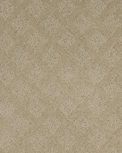 Momentous Beauty Patterned SmartStrand Carpet