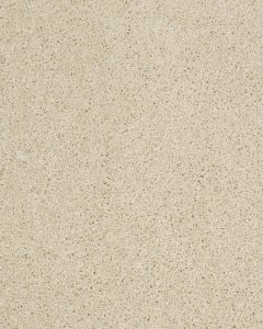 Hillcrest II Textured Nylon 29oz Carpet