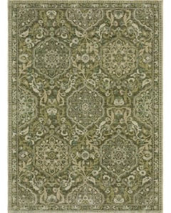 Andorra 3709C Green Area Rug