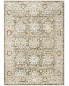 Lola LLA03 Brown Area Rug