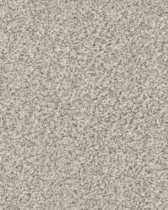 Ridgeway Walk Textured Nylon Carpet