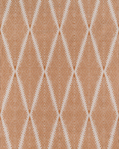 River RIV-1 Orange Area Rug