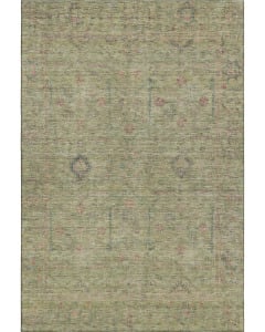 Ravenna RN5 Aloe Area Rug