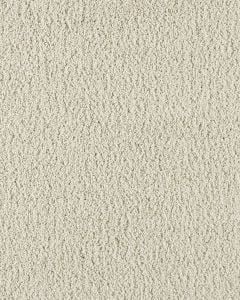 Paw Pathway Textured 38oz Carpet