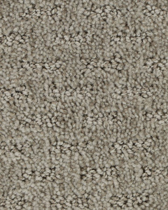 Stylish Attraction Patterned EverStrand Carpet