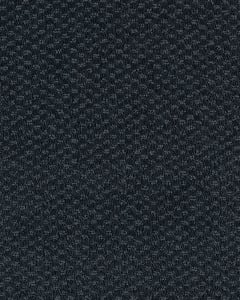 Subtle Allure Patterned SmartStrand Carpet