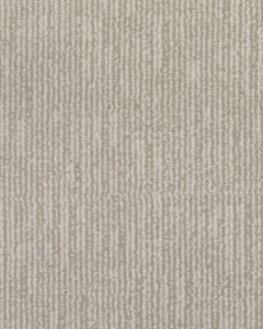 Timeless Features Patterned Kashmere Nylon Carpet