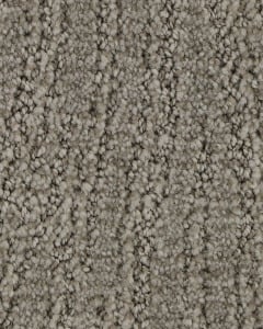 Trendy Charm EverStrand Carpet