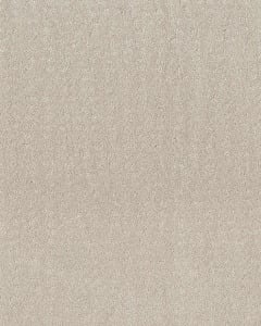 Trendy Nylon 34oz Carpet