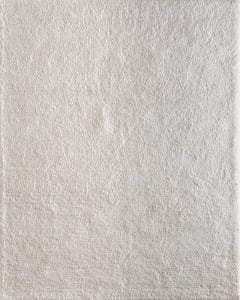 Tula 8A98F White Area Rug