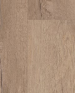 Coretec Copano Oak - Luxury Vinyl | Carpet Exchange