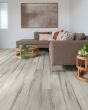 Endura Plus Fresh Driftwood Luxury Vinyl