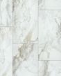 Paragon Tile Plus Calacatta 12"x24" Luxury Vinyl