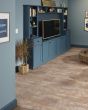 Paragon Tile Plus Clay 12"x24" Luxury Vinyl