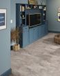 Paragon Tile Plus Pebble 12"x24" Luxury Vinyl