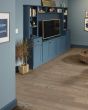 Anvil Plus 20 Mil Accent Pine Luxury Vinyl