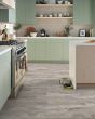 Apex Fossil 12"x24" Luxury Vinyl Tile