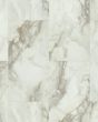 Apex Alabaster 12"x24" Luxury Vinyl Tile