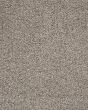 Luxuriant Space Textured SmartStrand 40oz Carpet