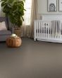 Artistic Fusion II Pet Friendly Carpet