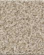 Tweed Comfort II Vacay 51oz Carpet