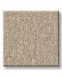Charming Desire 34oz Patterned Pet Friendly Carpet