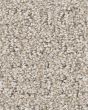 Peaceful Journey Beige Mist 48oz Pet Friendly Patterned Carpet