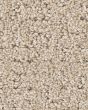 Peaceful Journey Cafe Latte 48oz Pet Friendly Patterned Carpet