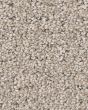 Peaceful Journey Chic Taupe 48oz Pet Friendly Patterned Carpet