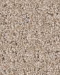 Peaceful Journey Baja 48oz Pet Friendly Patterned Carpet