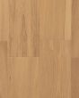 CALI Cellar Vinter Gold 7" White Oak Hardwood