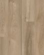 Cali Laguna Artisan Shoal Vinyl Plank