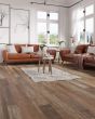 Cali Windansea Redefined Pine Vinyl Plank