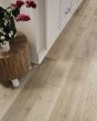 Palace Plank Stone Restoration 7" Laminate