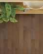 Brasilia Campo 7.5" Brazilian Oak Hardwood
