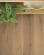 Artisan Oak Bristle White Oak 7" Hardwood