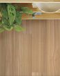 Valencia Walnut Alabaster European Walnut 7" Hardwood
