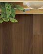 Valencia Walnut Raw Umber European Walnut 7" Hardwood