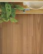 Valencia Walnut Sesame European Walnut 7" Hardwood