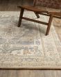 Acacia ACA07 Beige Area Rug