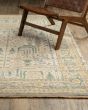 Acacia ACA14 Beige Area Rug